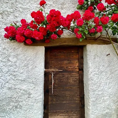 Ferienhaus Casa Edi